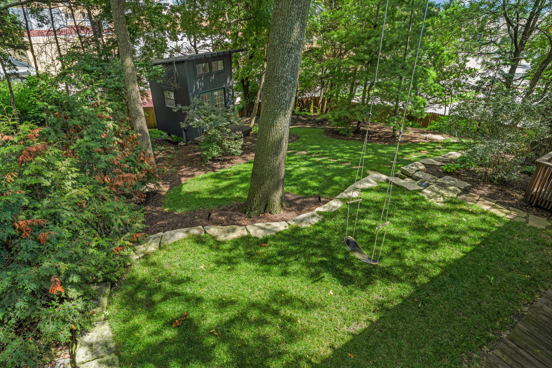 Tree swing in the backyard